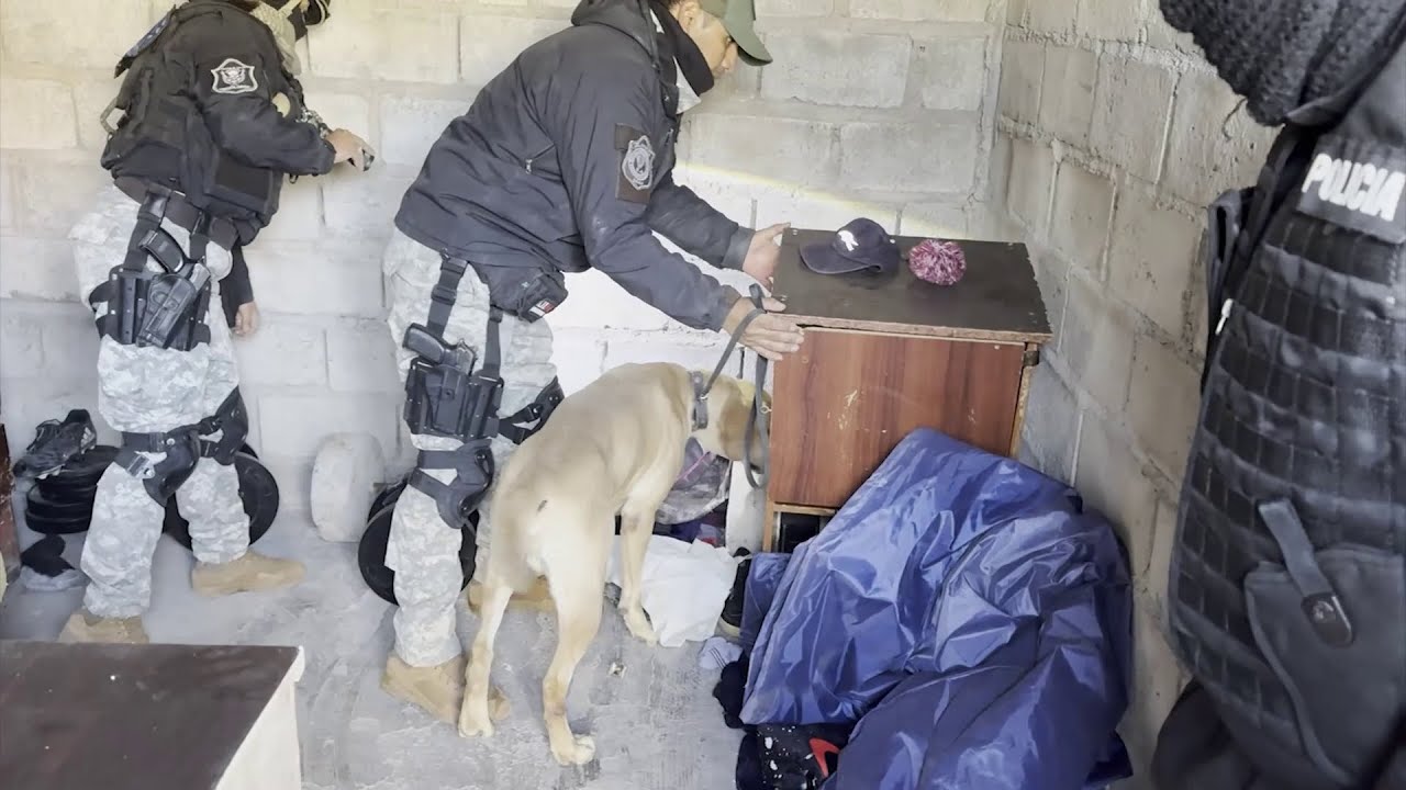 SALTA POLICIAL ACCIÓN N° 613