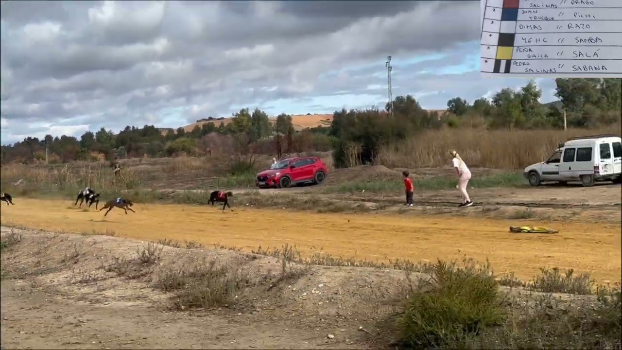Debut de pichi en Écija 