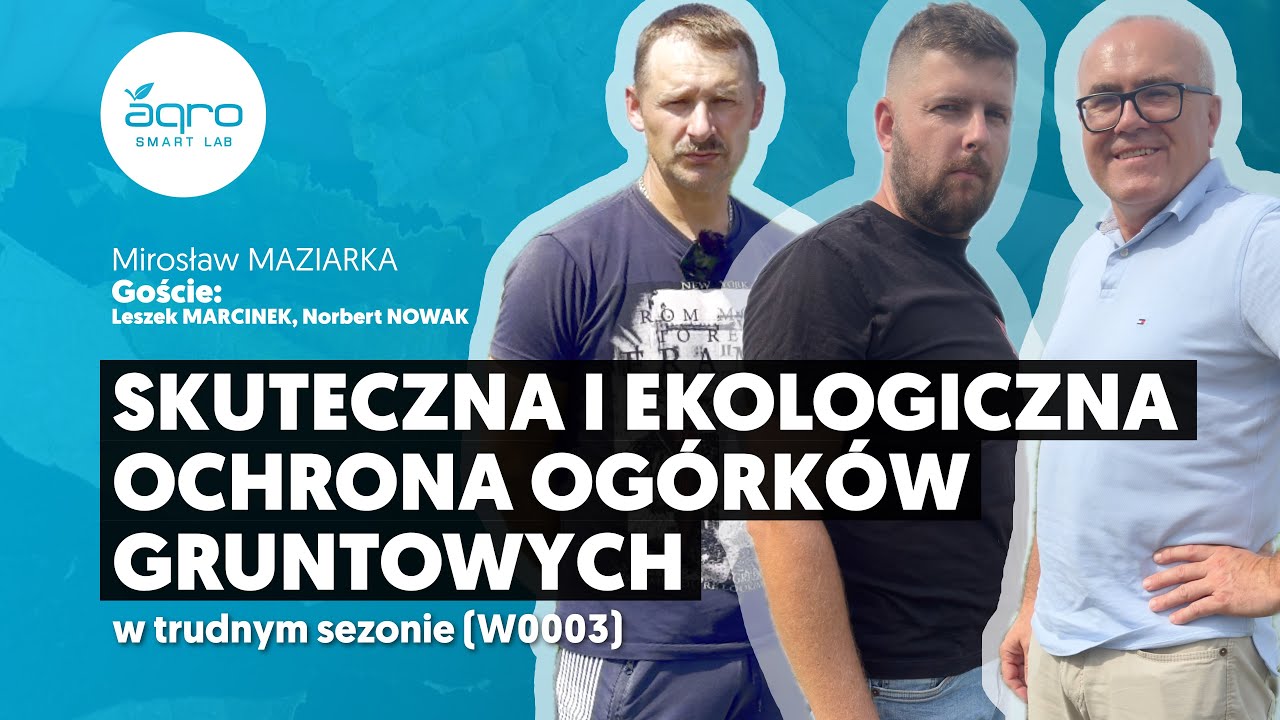 Skuteczna i ekologiczna ochrona ogórków gruntowych w trudnym sezonie