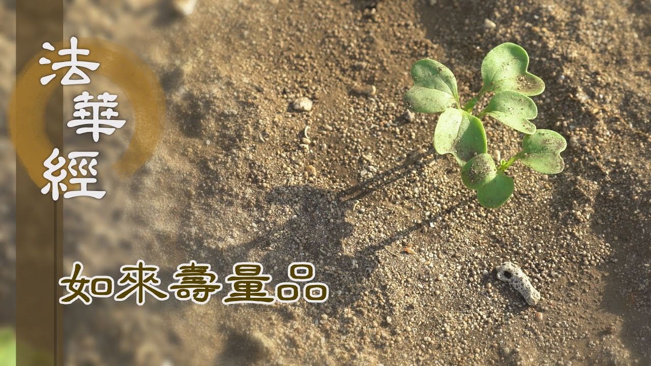 【靜思妙蓮華】法華經如來壽量品 - 生死苦惱 劫火所燒 - 20231117 第1548集