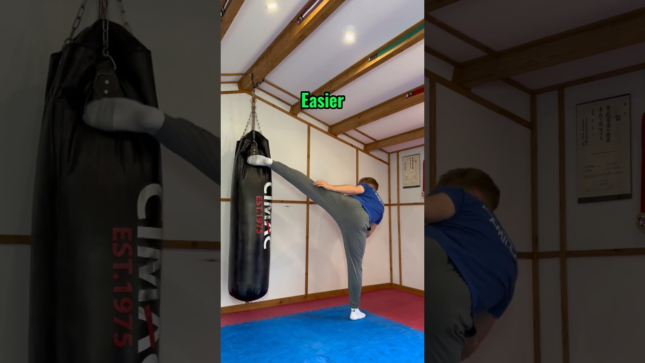 Roundhouse kick vs back kick..