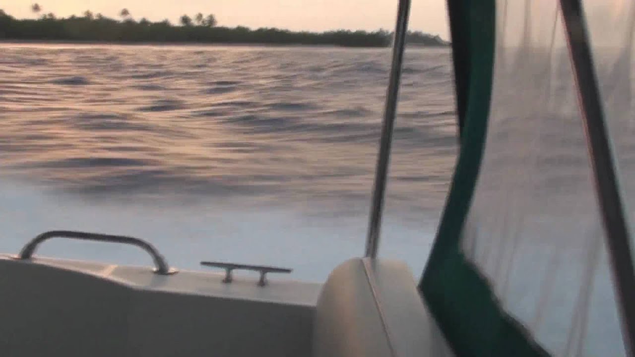 Yamaha F200 Outboards Accelerating in Maldives