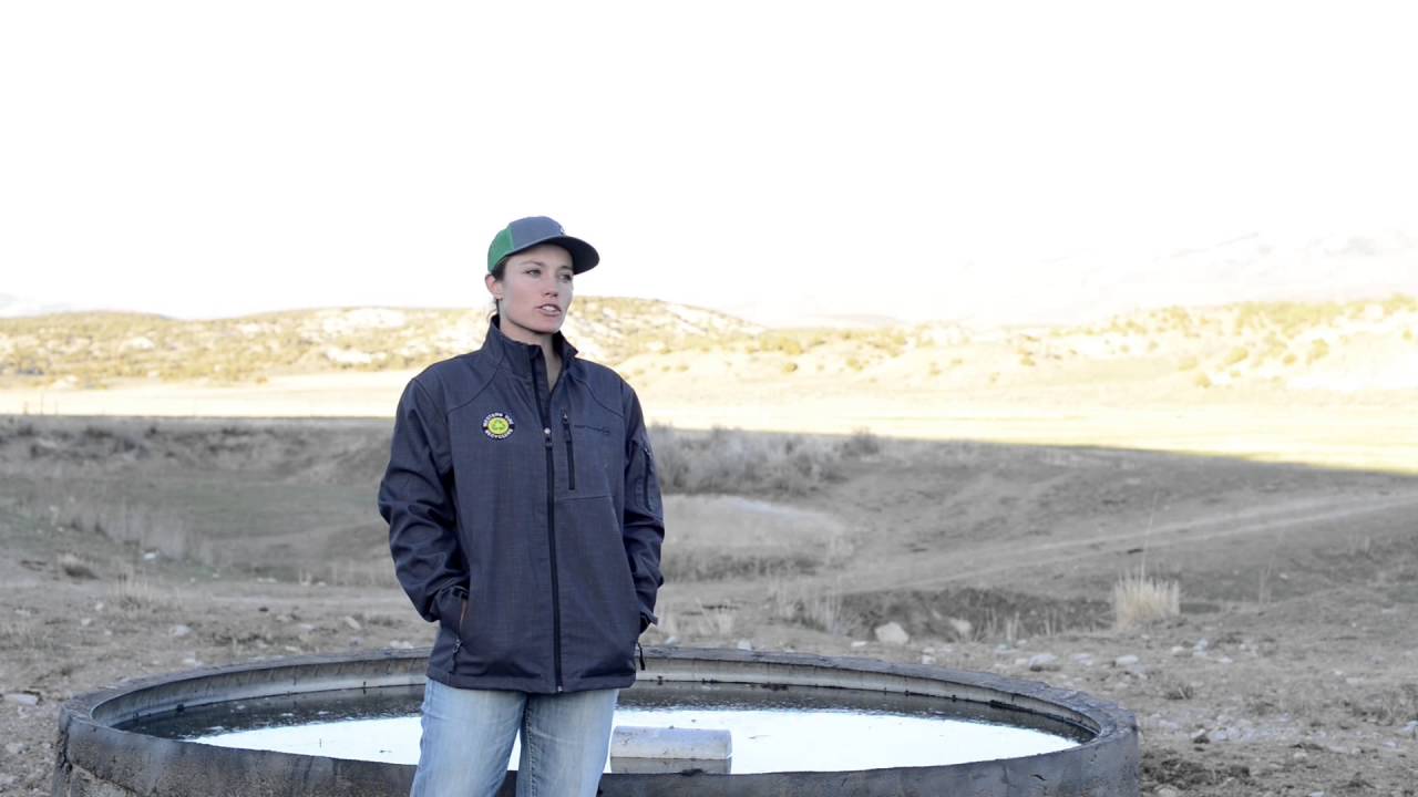 Western Tire Tanks Cattle Troughs, Horse Troughs