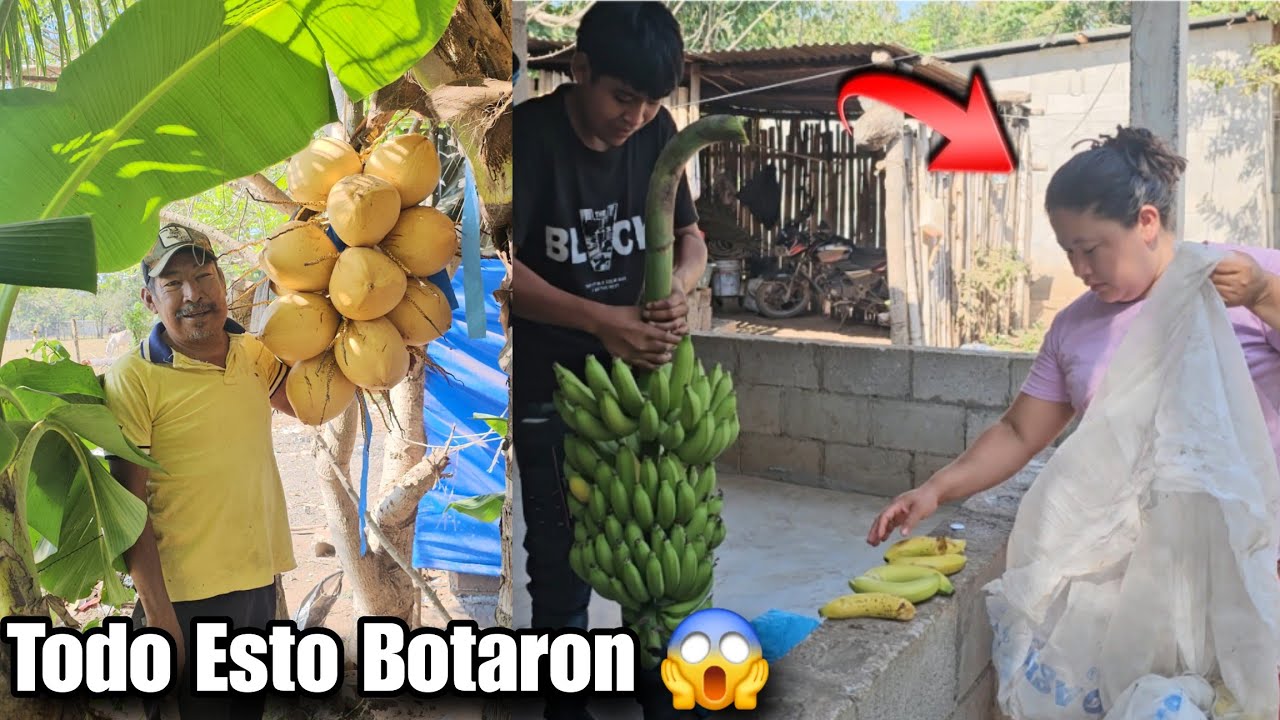Don Eduardo Tiene Cosechada Toda Clase De Fruta 😱