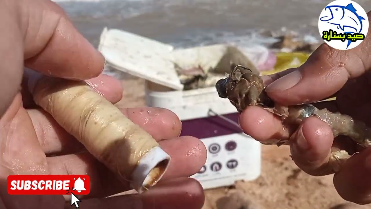 Vlog : صيد السمك بسنارة أخطر طريقة مجربة وفعالة 100٪ من شاطئ لكل مبتدئين Adventure_de_pêche_au_Maroc