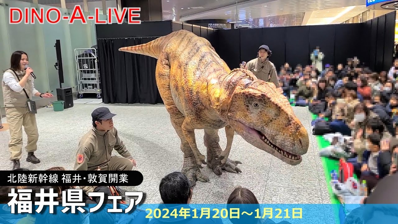 【福井県PR】DINO-A-LIVE 福井フェア大宮駅☆フクイラプトル登場！／DINO-A-LIVE Fukui Fair Omiya Station Fukuiraptor appears!