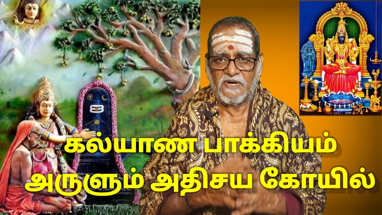 கல்யாண பாக்கியம் அருளும் அதிசய கோயில் #mahaperiyava #kanchipuram Neelakal CN Muthuswamy Sastrigal