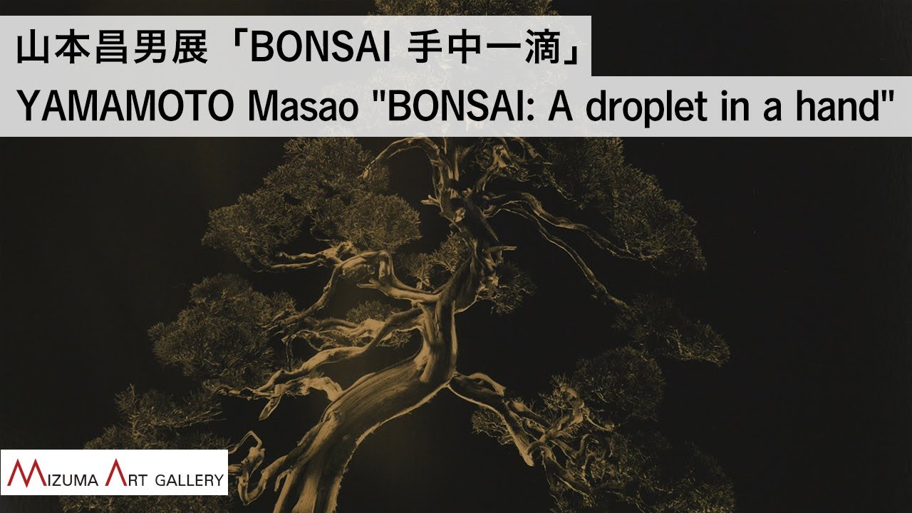 山本昌男展「BONSAI 手中一滴」 / YAMAMOTO Masao 
