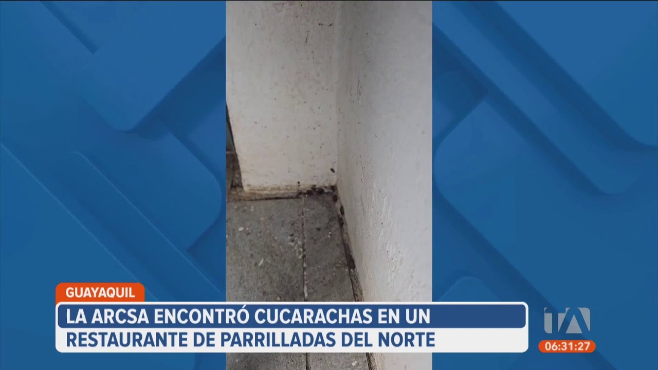 ARCSA encontró cucarachas y ratas en operativos realizados en Guayas