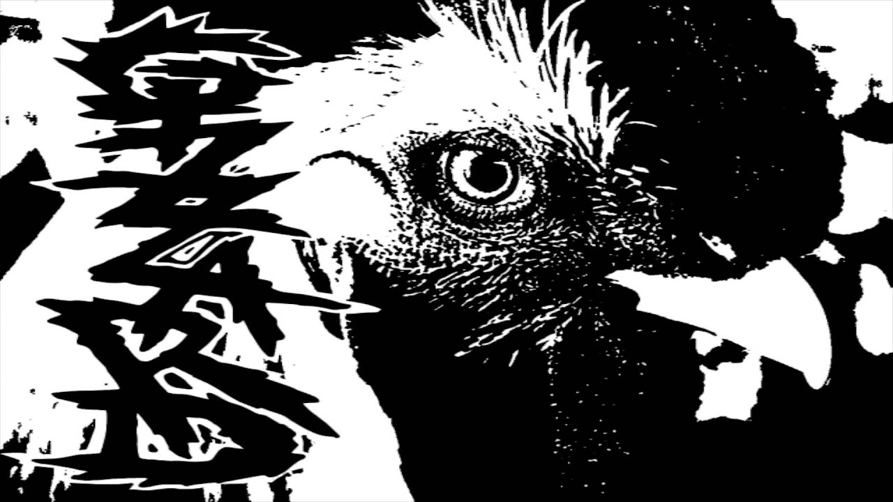 GNARWAIL/GIZZARD SPLIT SIDE 2