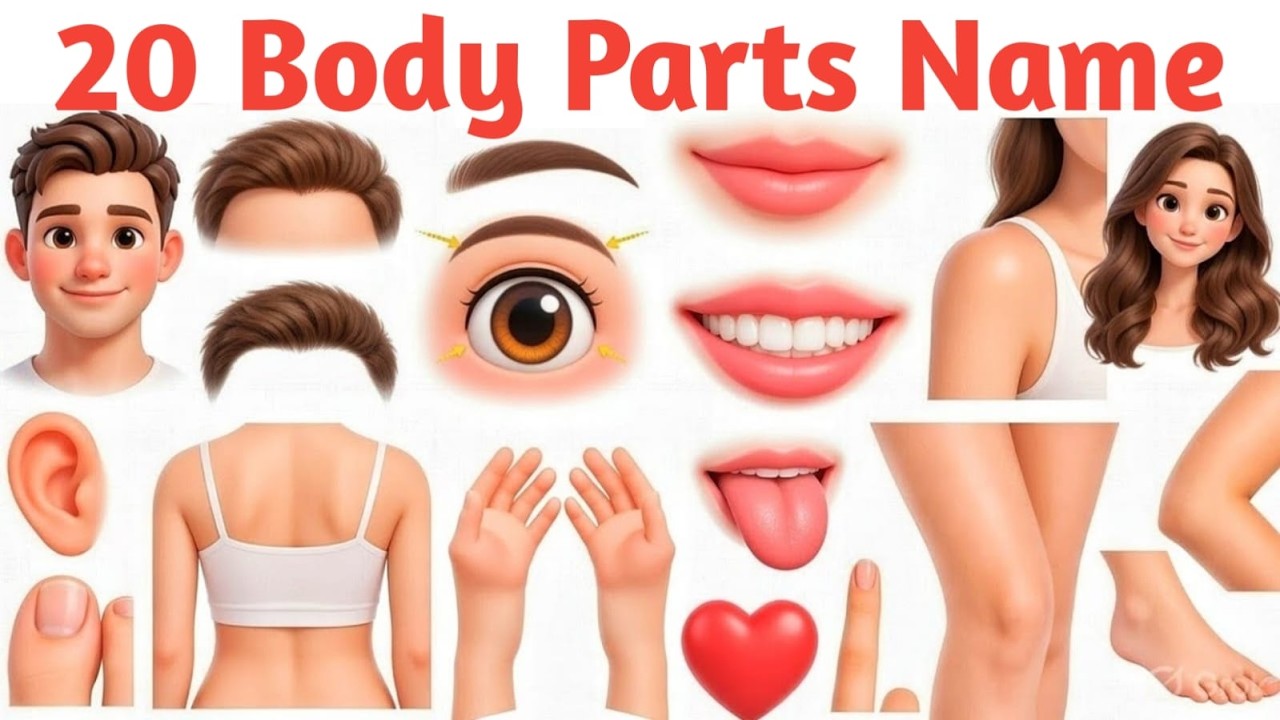 Body Parts Name English to Hindi | शरीर के अंगों के नाम | Learn 20 Body Parts Name | शरीर के अंग