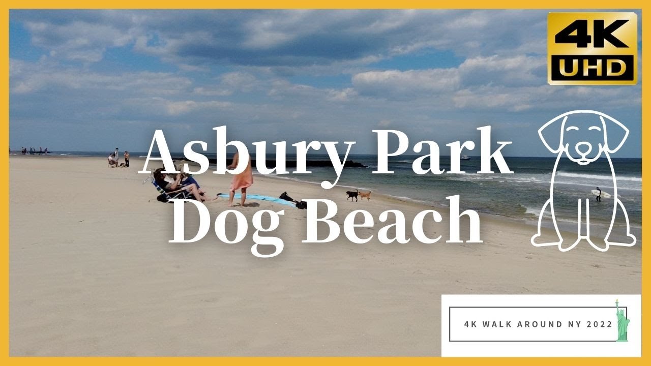 Asbury Park Dog Beach   Walk around NY 2022 4K