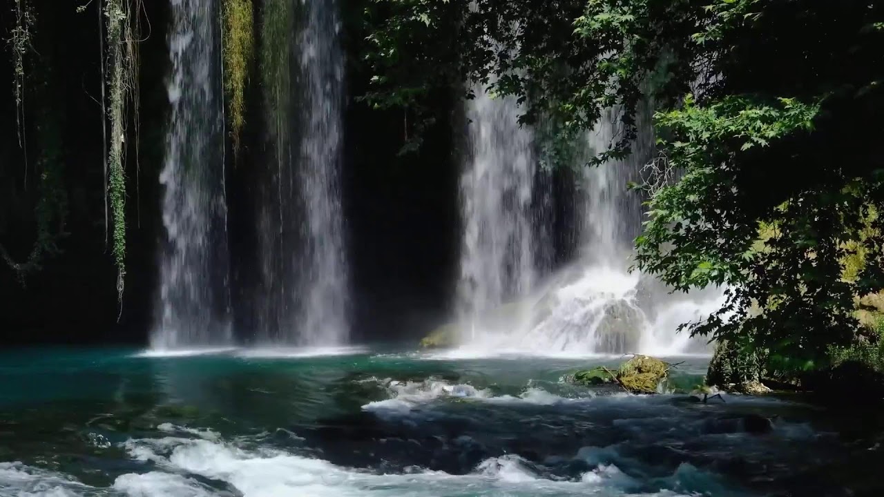 Relaxing Nature Live