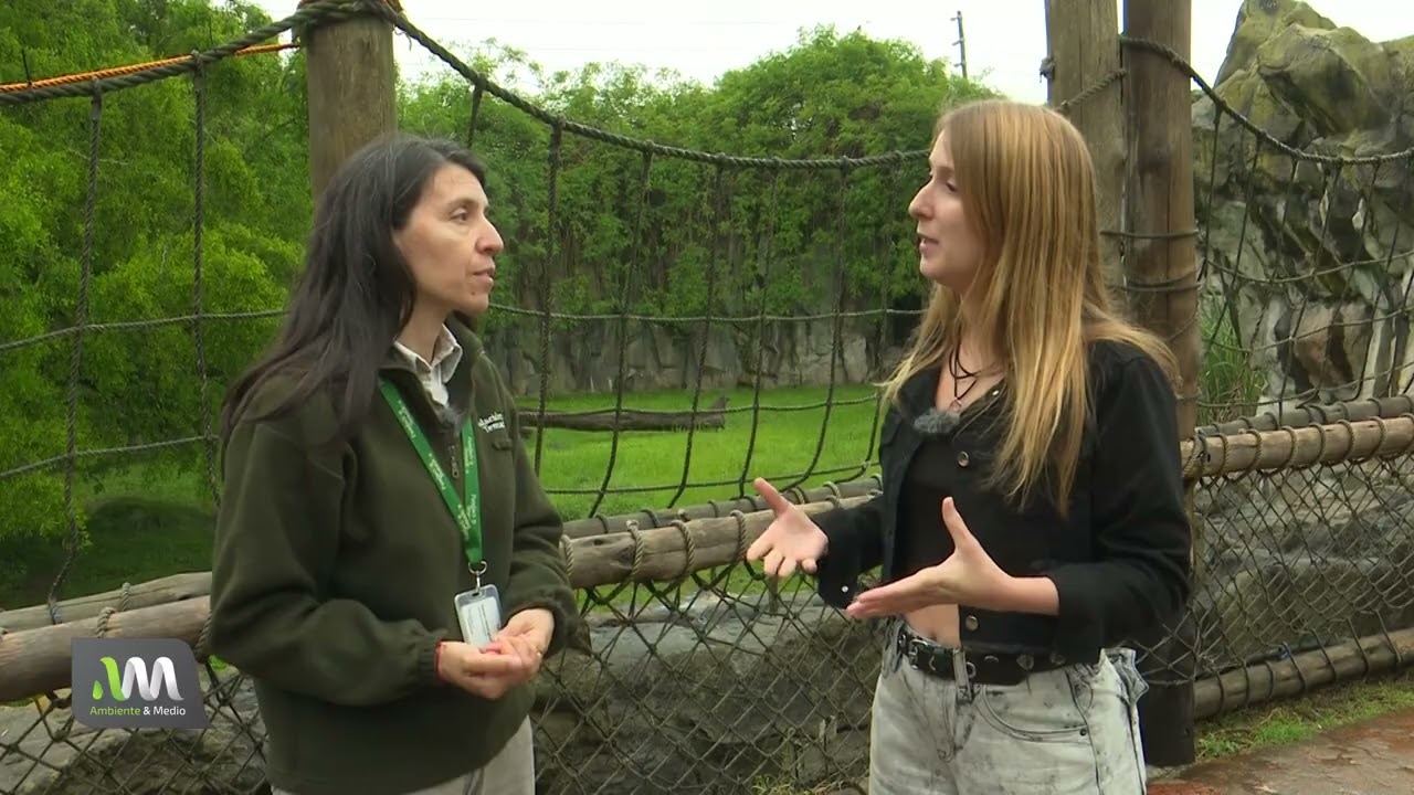 Animales víctimas del tráfico de especies en Temaikén