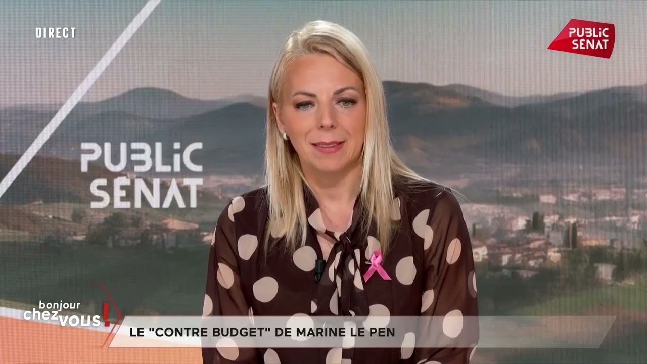EDWIGE DIAZ : &laquo; Marine Le Pen appliquera le principe du casseur-payeur ! &raquo; (PUBLIC S&Eacute;NAT)