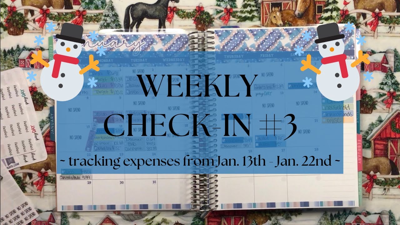 ✨ January Weekly Check-In #3 ✨ | Expense Tracking | EC Budget Planner