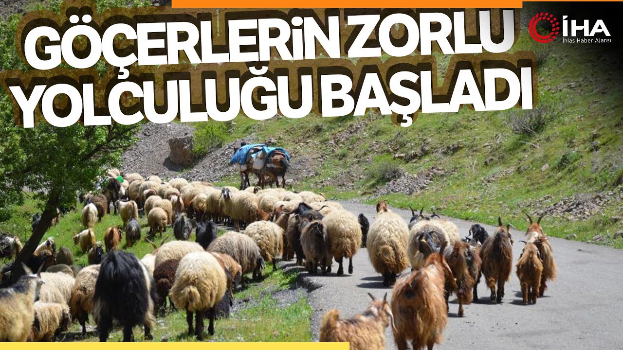 Şırnak&rsquo;ta G&ouml;&ccedil;erler Yaylaya Ulaştı