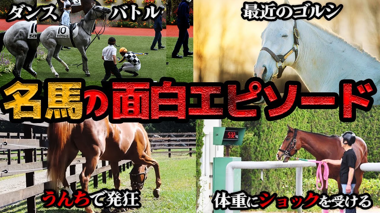 面白すぎる！名馬たちの雑学エピソード９選