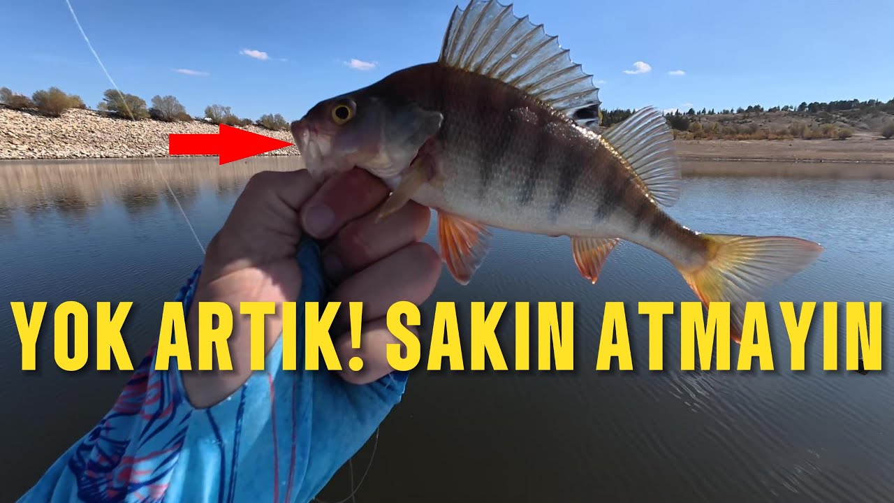 LRF'de Kimsenin Bilmediği 'Parçalanmış Yem' Teorisi! (Sakın Atmayın)
