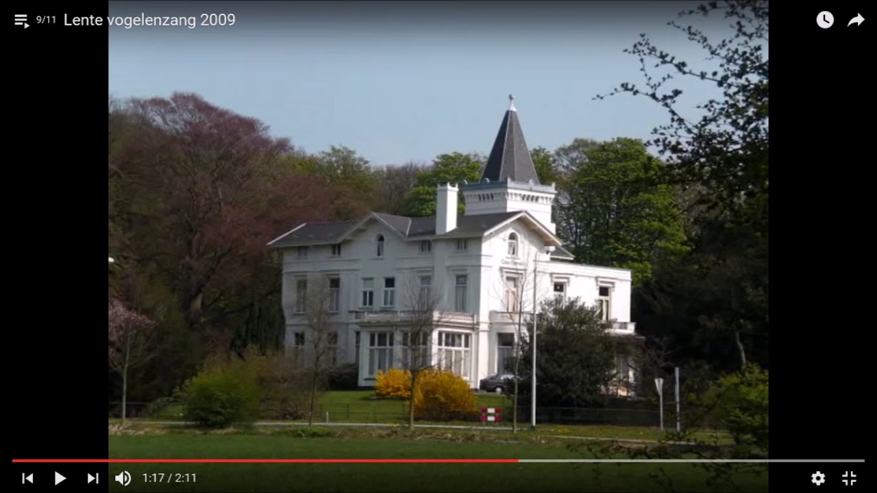 Vogelenzang in vogelvlucht