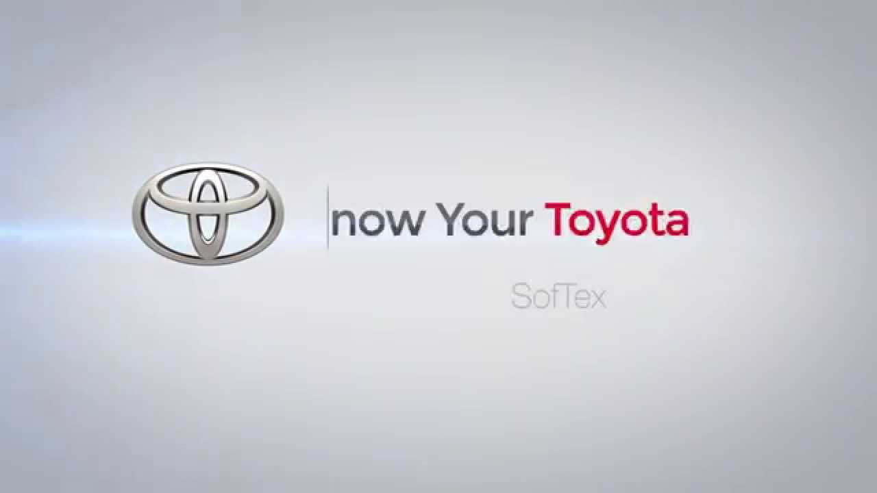 Video Softex