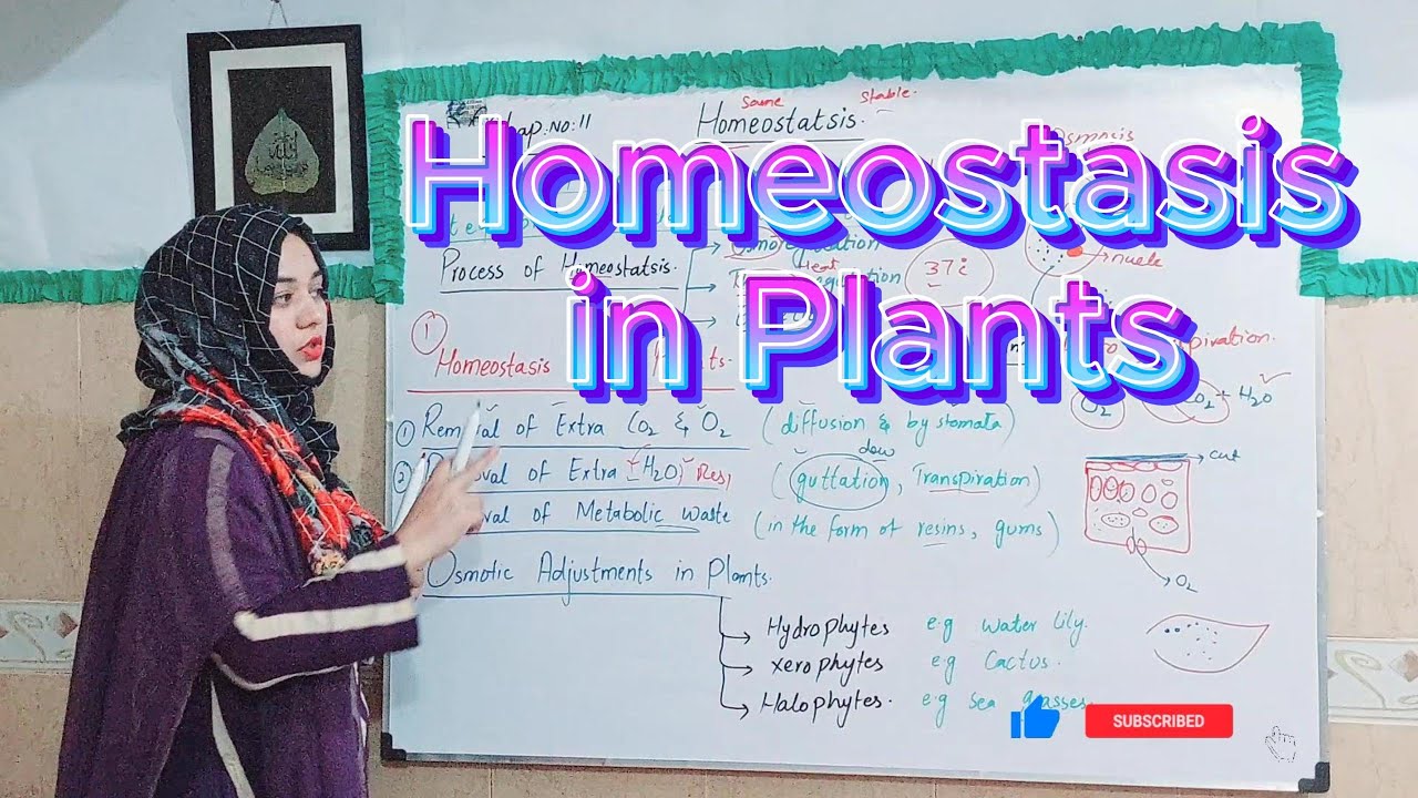 | Homeostasis in plants| Chap : 11| Class 10 Biology | PTB