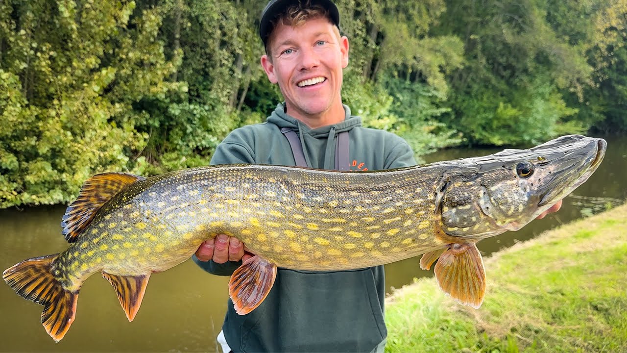 DIKKE SNOEKEN VANGEN OP STEKKEN VAN VROEGER!
