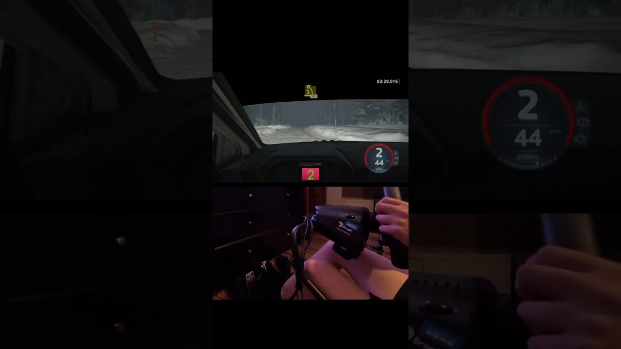 EA Sports WRC. Full Swedish stage POV with Logitech G923