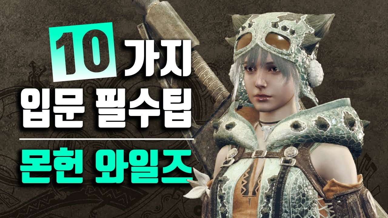 몬스터 헌터 와일즈 시작하는 사람들을 위한 필수 팁 10가지