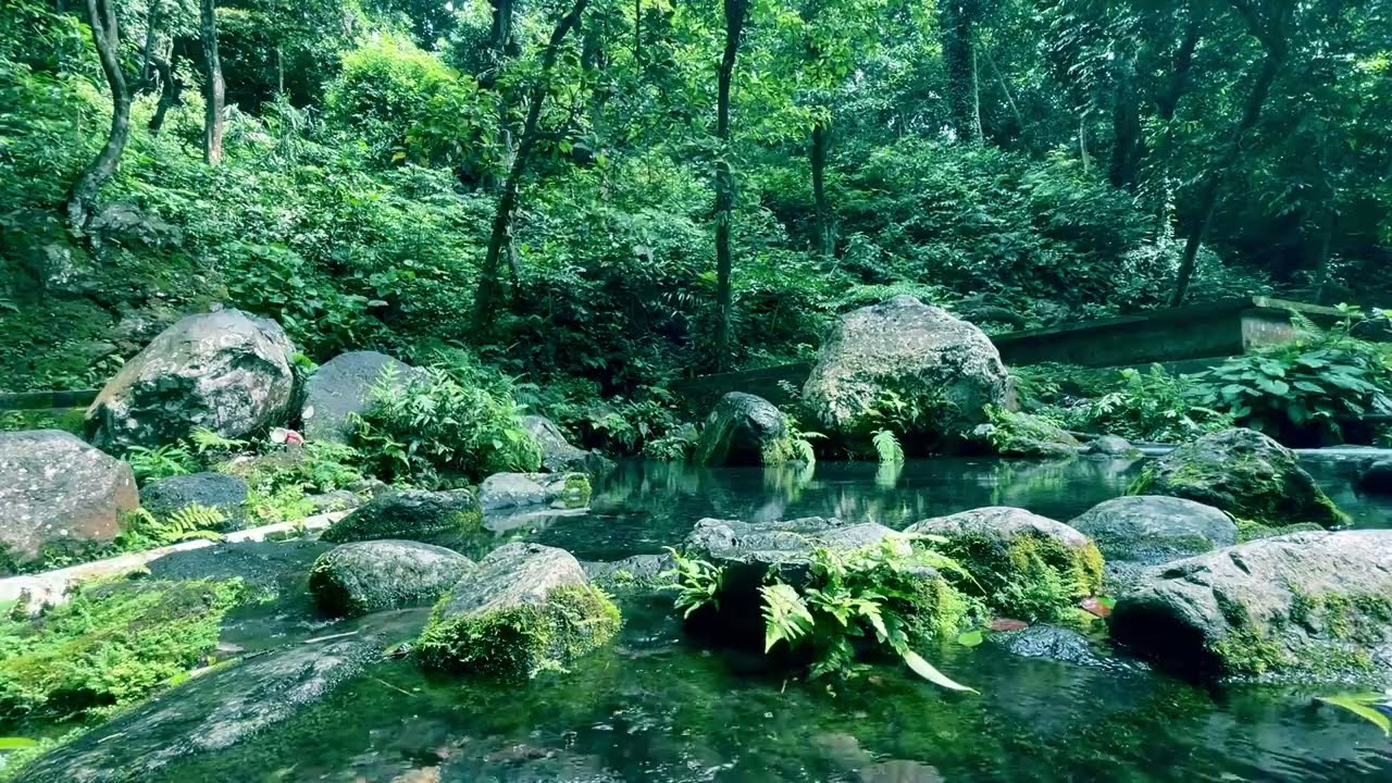 Calm and clear natural river, hear & feel the mind, the soul becomes calm, sleep soundly