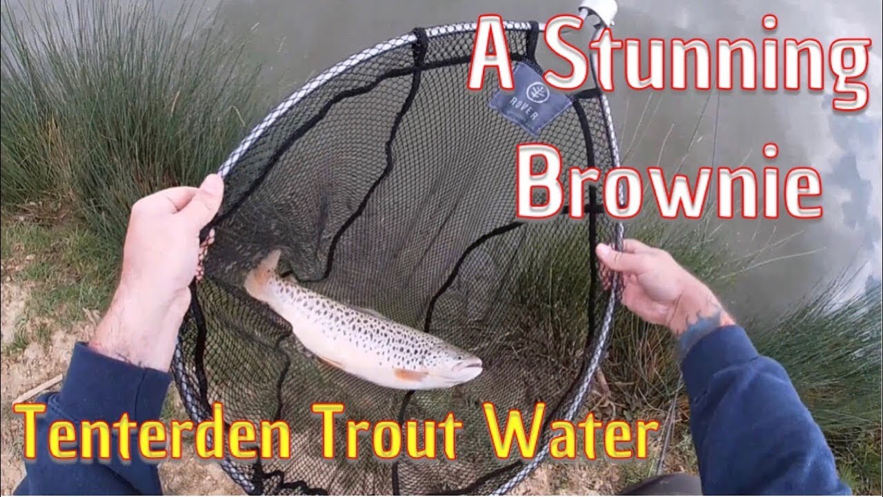 Tenterden Trout Water - A surprising good session When I Almost Stayed Home!