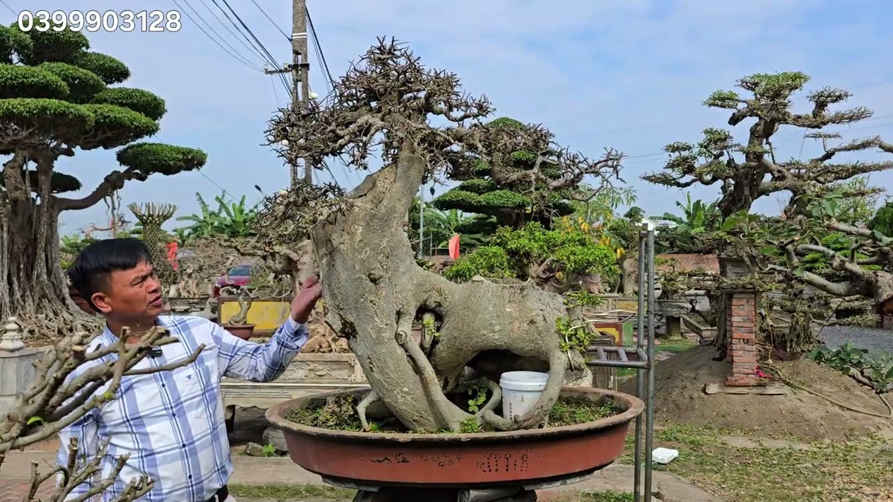 Báo giá cả vườn. Bán rẻ như bán rau