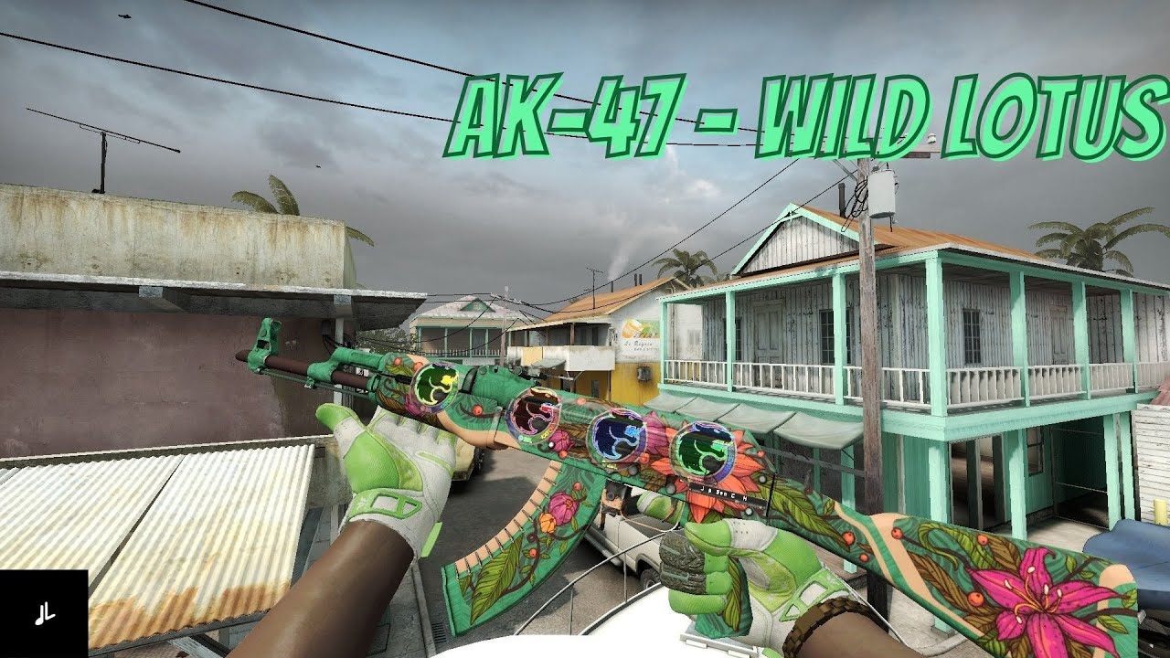 [CS:GO] AK-47 WILD LOTUS SHOWCASE W/ GLOVES (IN 4K)