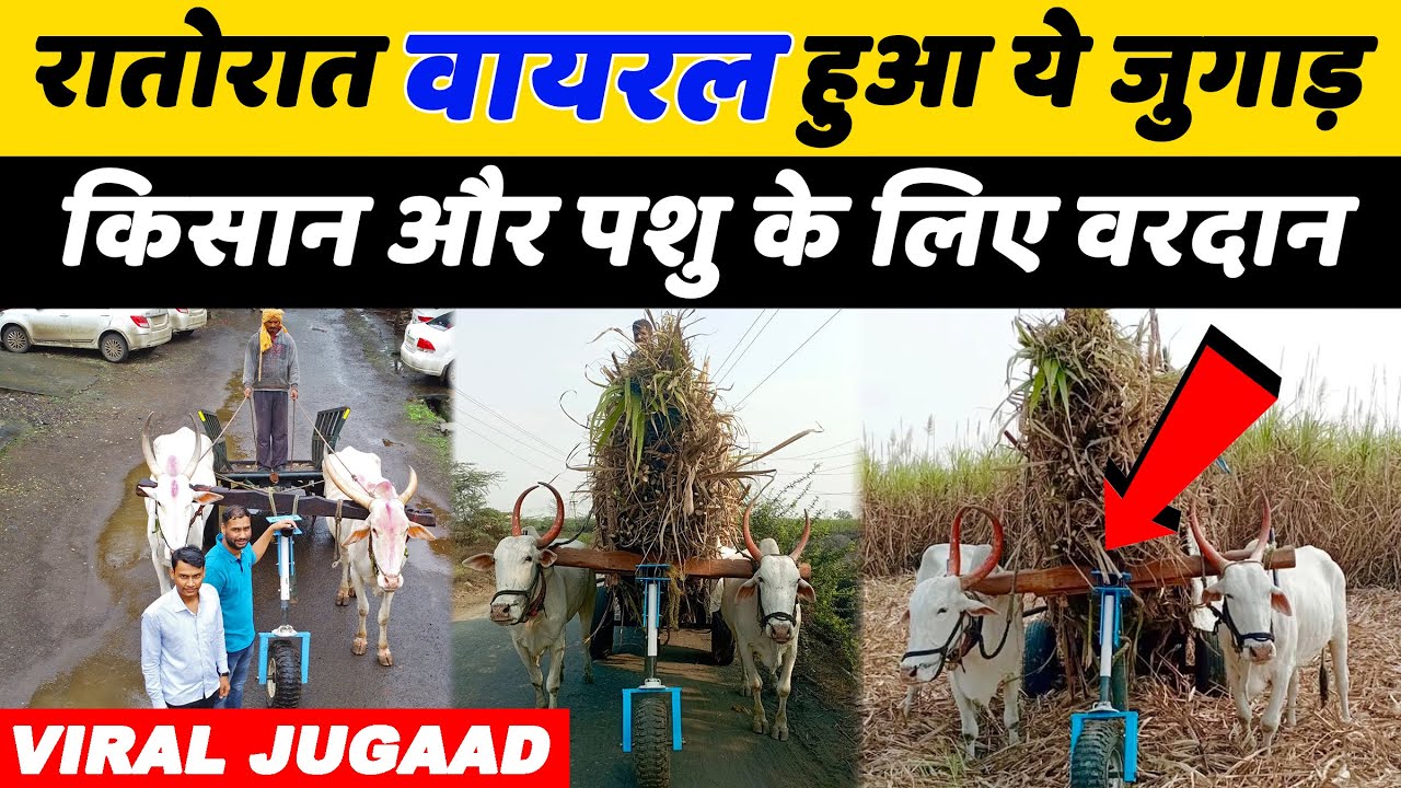 इंडिया का नंबर वन जुगाड़ देखो🇮🇳Desi Jugaad Agriculture | Indian Farmer