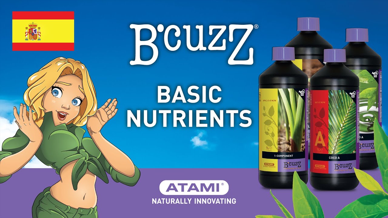 B'cuzZ Basic Nutrients | (ES)