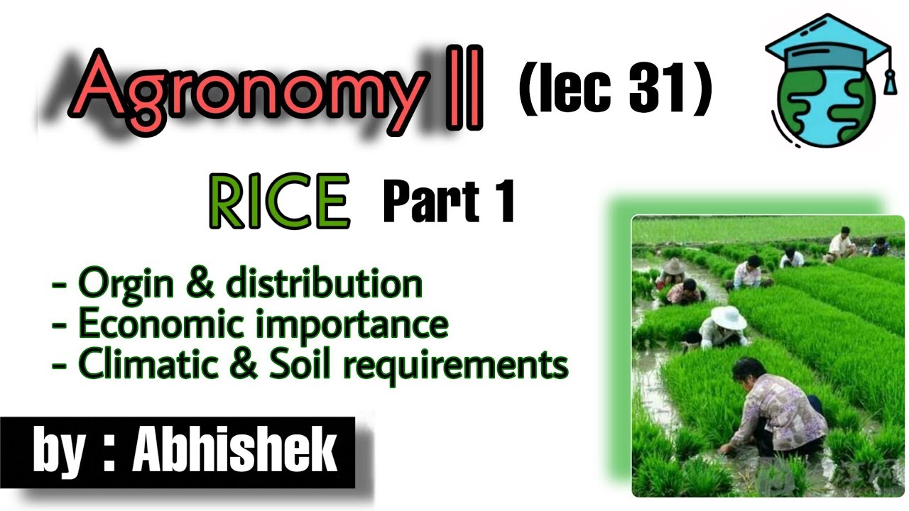 RICE origin, Distribution, Economics, Climate & Soil• Go For Agriculture Education #icar #bhu #ibps
