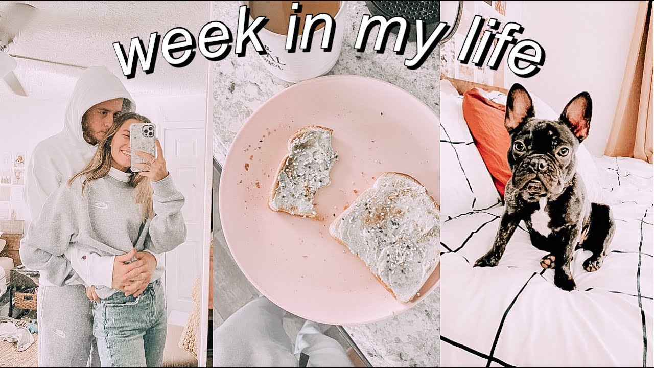 *productive* WEEK in my life! | first week of classes, luna's training, target hauls, new minifridge
