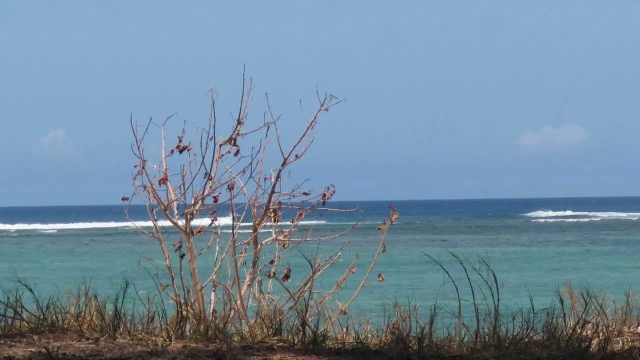 Île de la Réunion, La Saline les Bains, plage du LUX