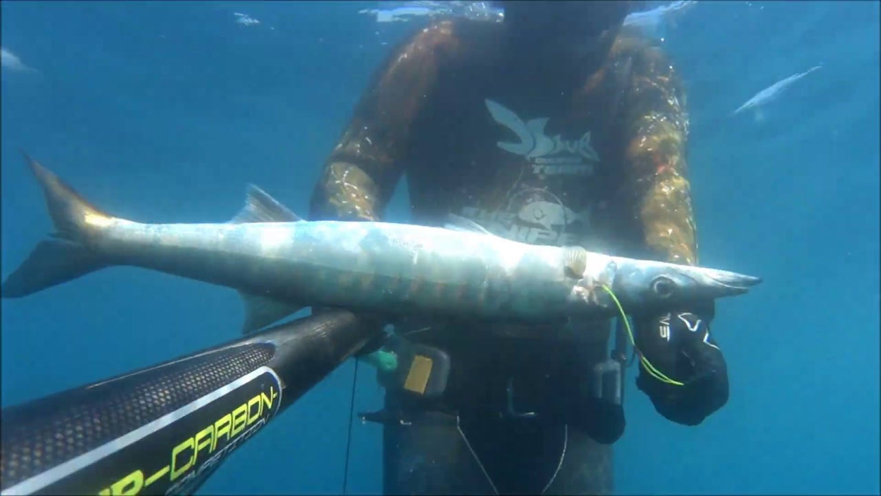 PESCA SUB - ANCORA QUALCHE TIRO CON DIESSE-AIR-CARBON