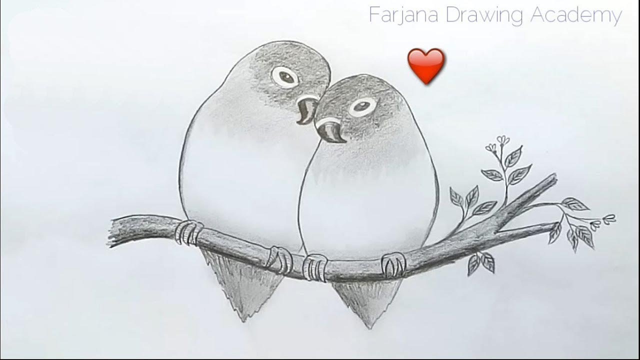 How to draw two parrots in love by pencil sketch