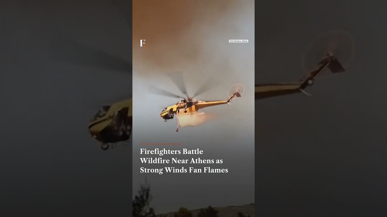 Firefighters Battle Wildfire Near Athens as Strong Winds Fan Flames | N18G