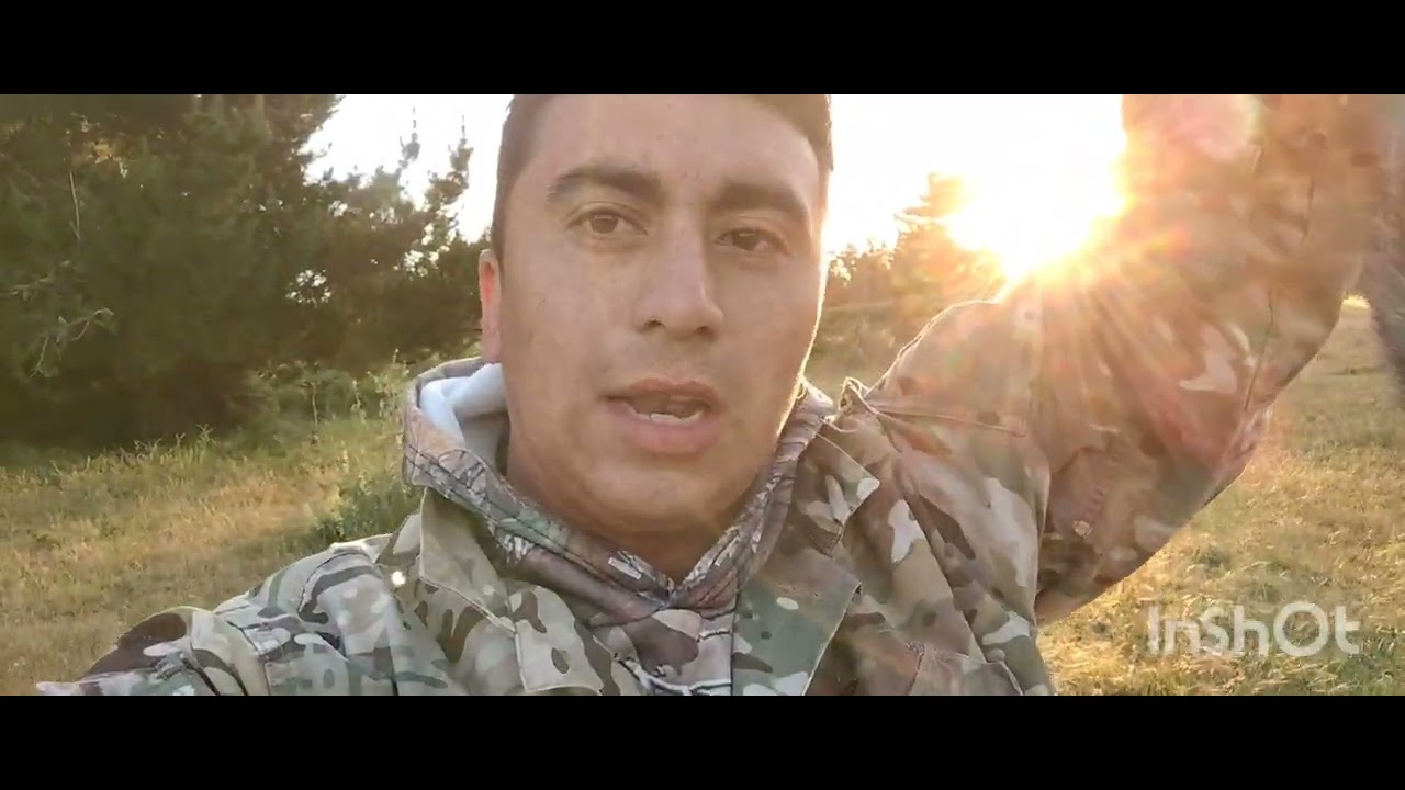 Caza con el brocock bantam. 22