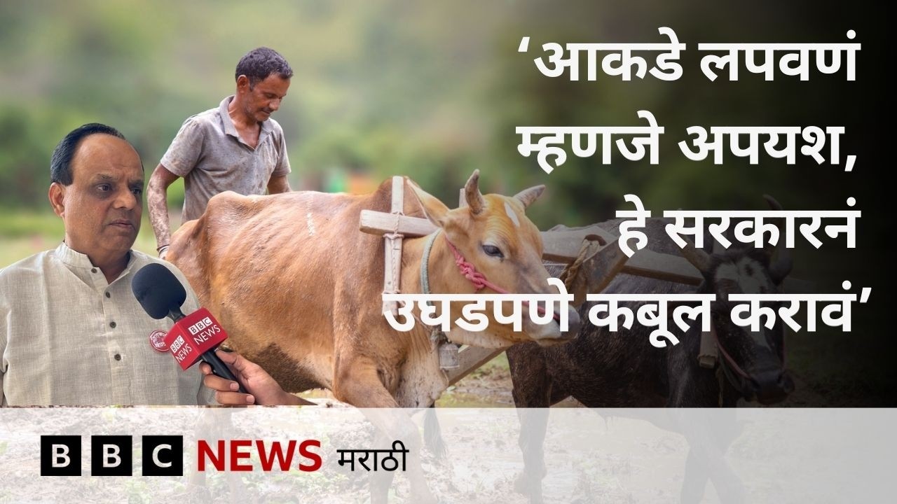 ‘आकडे लपवणं म्हणजे अपयश, हे सरकारनं उघडपणे कबूल करावं’, कृषीतज्ज्ञ उदय देवळाणकर
