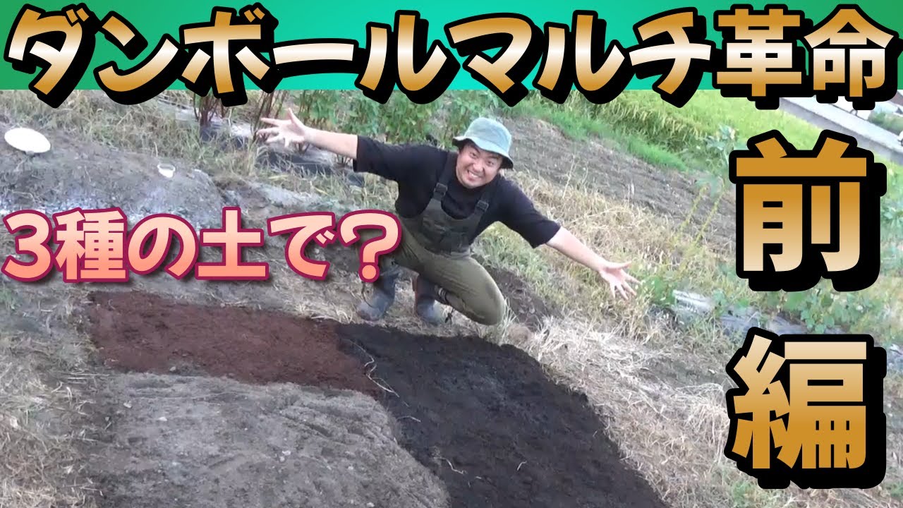 【雑草対策】ダンボールマルチ紹介と衝撃のカミングアウトの前編!!無料で手に入れたダンボールを使ってマルチ資材にする方法を教えます。【家庭菜園】【園芸】【ガーデニング】