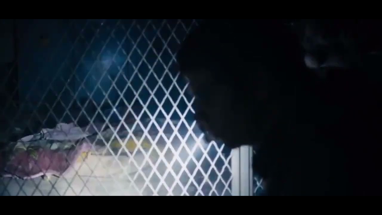 Maze Runner x Teen Wolf - Stydia