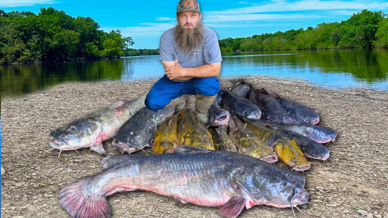 Catching RIVER MONSTERS On Limb Lines & Bank Poles!!! GIANT Flathead Catfish (Catch* Clean*Cook)