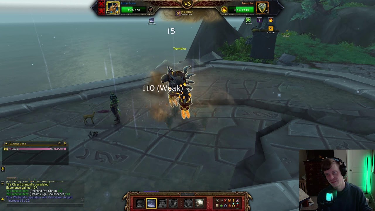 Midnight & Chill | Tank Paladin Leveling and Pet Battling