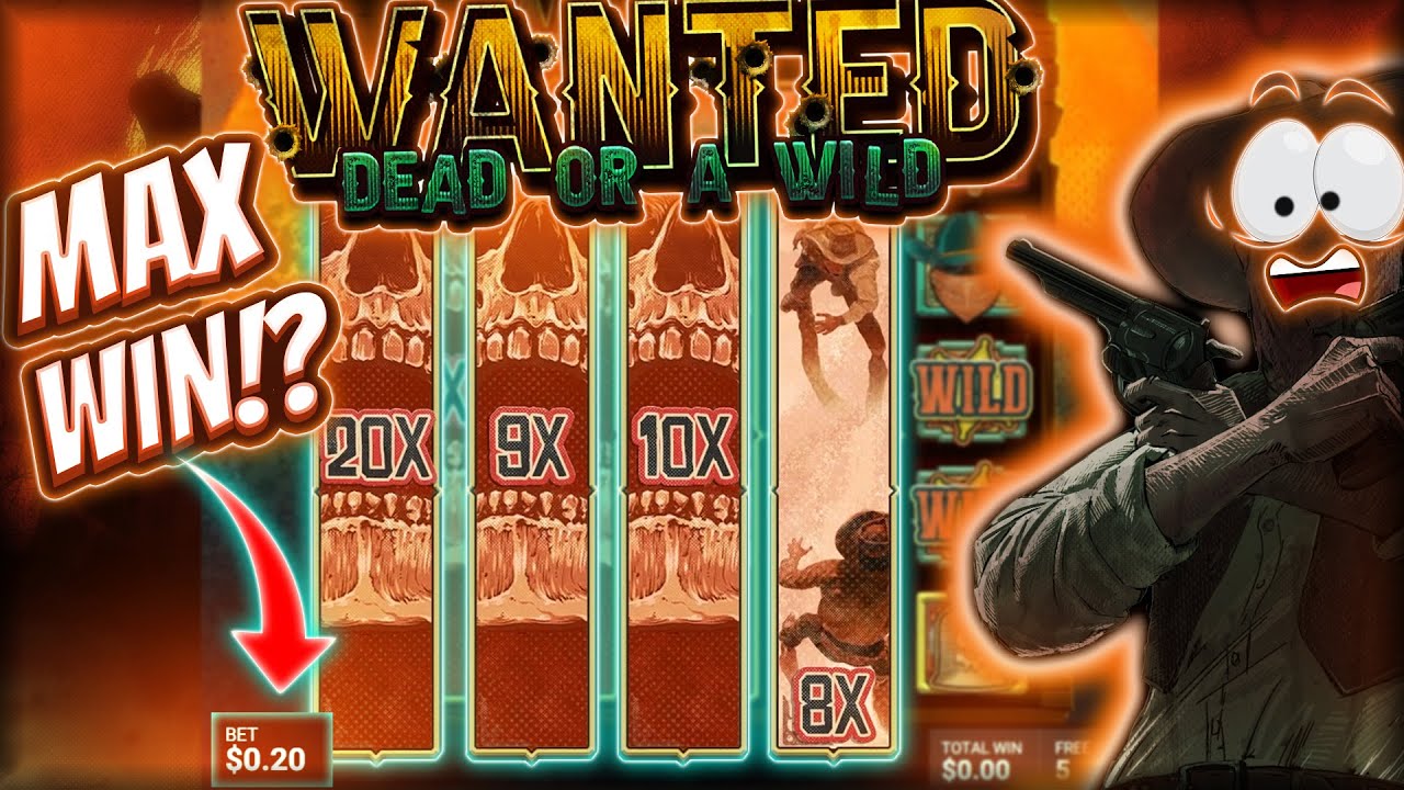 BEST SLOT WINS FROM PRAGMATIC AND HACKSAW! 10,000X MULTI
