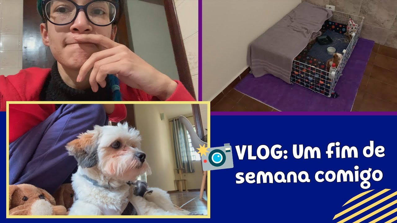 VLOG MEU FIM DE SEMANA + LIMPEZA DO CERCADO