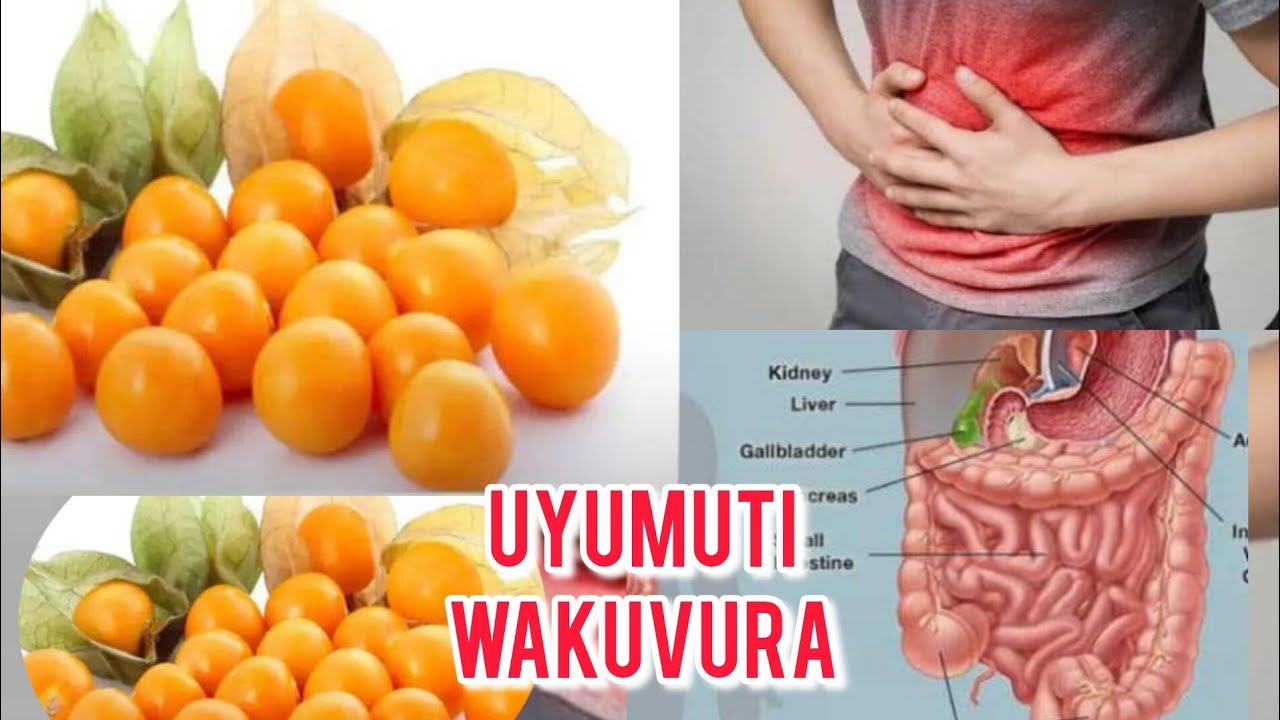 #IBIMERA_M_UBUVUZI_BW'_IMANA/PLANTS_IN_GOD'S_MEDICINE 
